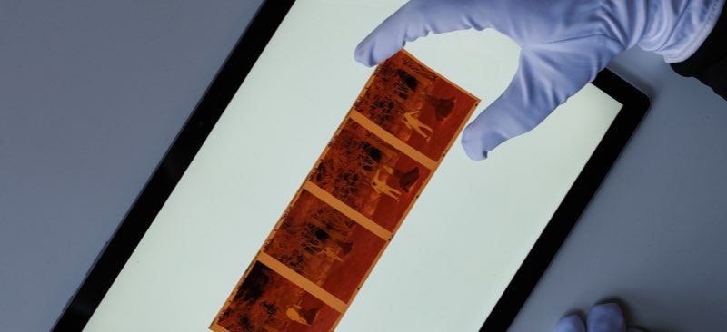 film-lab-253